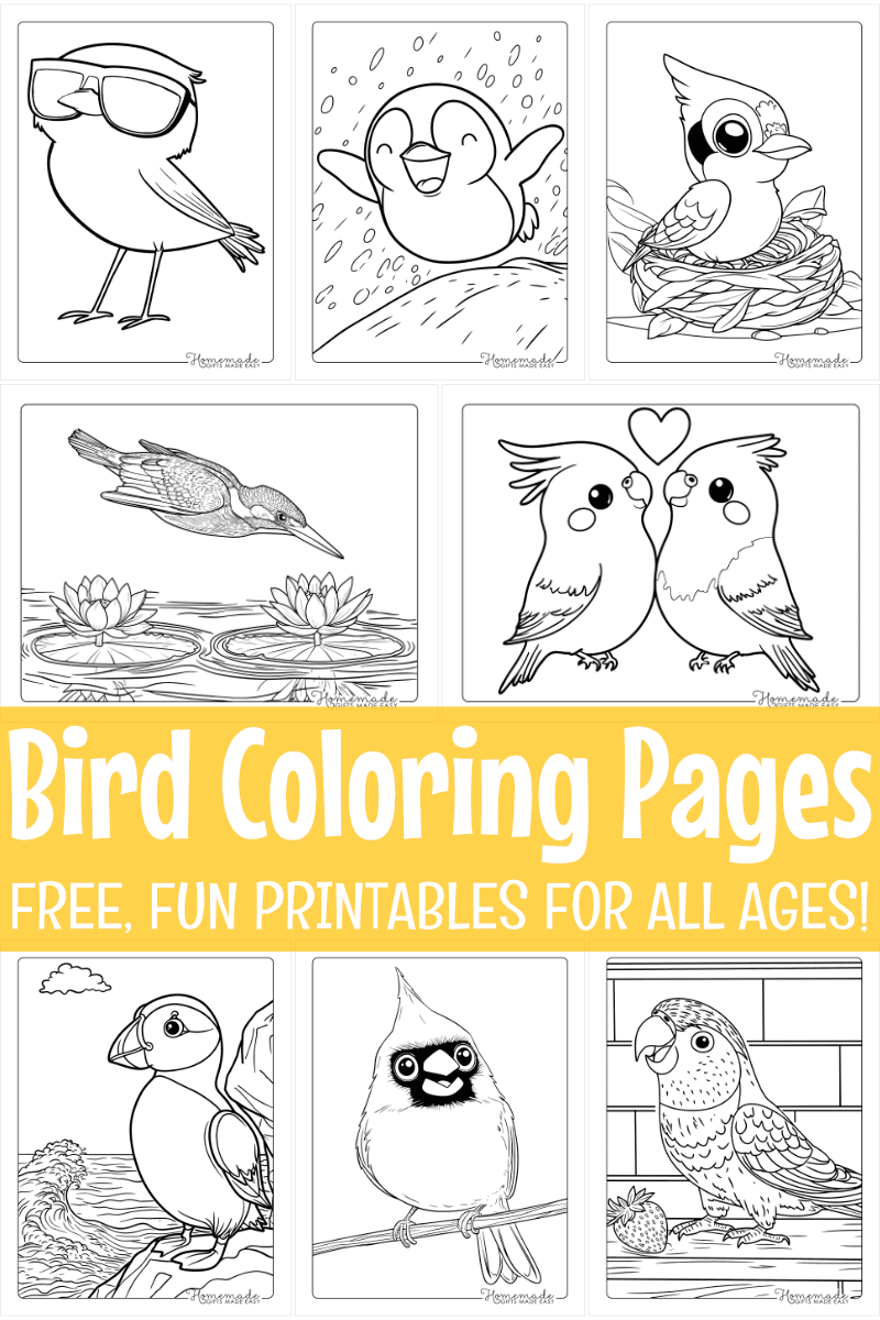 Free Printable Bird Coloring Pages for Kids & Adults - TooGoodEngravings